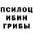Галлюциногенные грибы Magic Shrooms FH HF