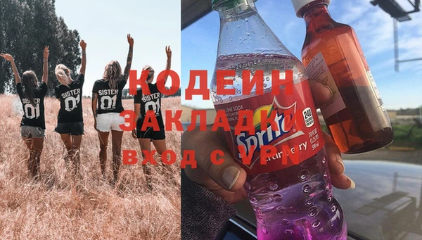 гашик Алексеевка