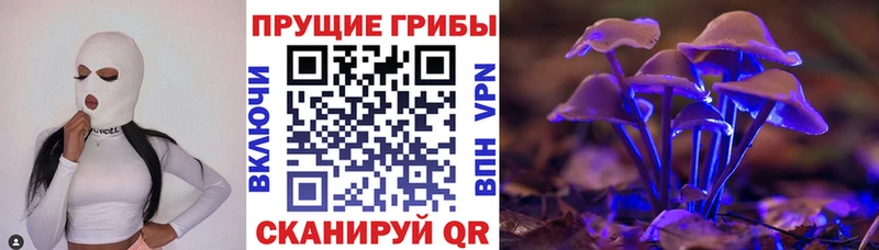 блэк спрут ССЫЛКА  Бирюч  Псилоцибиновые грибы MAGIC MUSHROOMS  закладка 